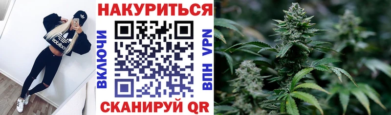 Конопля семена  Купить  Гдов 